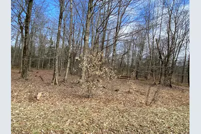  1018 W Wadi Road, Pocono Lake, PA 18347 - Photo 10