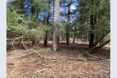  1025 W Wadi Road, Pocono Lake, PA 18347 - Photo 18