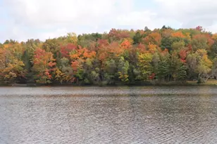 206 Pima Pl, Pocono Lake, PA 18347 - Photo 46