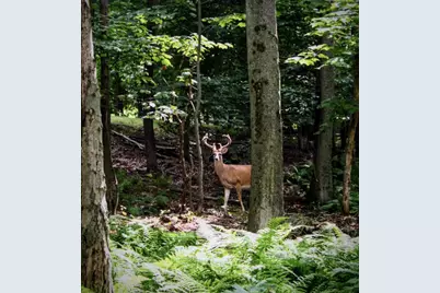  Delbert  Lot#Bb70 Drive, Gouldsboro, PA 18424 - Photo 24