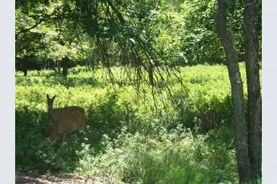  Shakespeare Drive, Albrightsville, PA 18210 - Photo 1