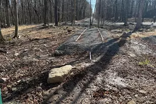 Skyview Lake Mountain Dr & Oakwood Dr Corner, Greentown, PA 18426 - Photo 10