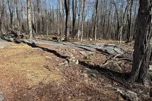 Skyview Lake Oakwood Dr, Greentown, PA 18426 - Photo 6