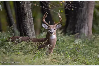  19/2013/20 Winebago Dr 19 Drive, Pocono Lake, PA 18347 - Photo 1