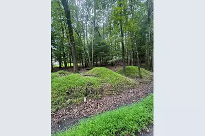  306 Lake Drive, Henryville, PA 18332 - Photo 4