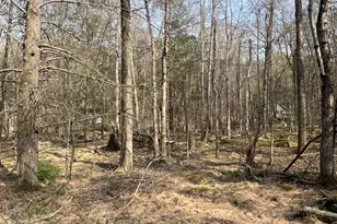Lot 814 White Pine Dr, Pocono Lake, PA 18347 - Photo 1
