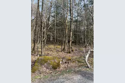  Lot 813 White Pine Drive, Pocono Lake, PA 18347 - Photo 2