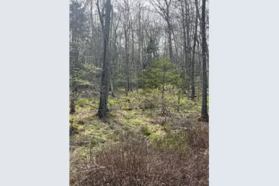  Lot 309-310 Wagner Way Way, Pocono Lake, PA 18347 - Photo 4