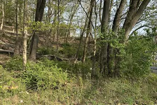 2320 Paradise Trail, East Stroudsburg, PA 18301 - Photo 54