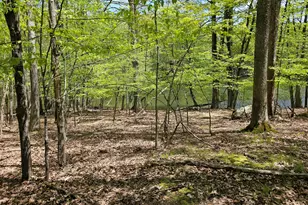 146 Cove Point Cir, Lakeville, PA 18438 - Photo 98