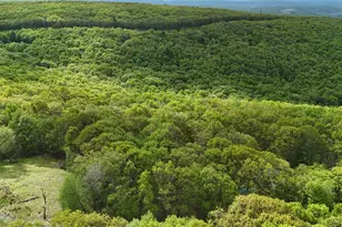 Arciel Dr, Albrightsville, PA 18210 - Photo 6