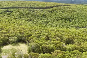 Arciel Dr, Albrightsville, PA 18210 - Photo 8