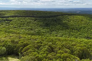 Arciel Dr, Albrightsville, PA 18210 - Photo 12