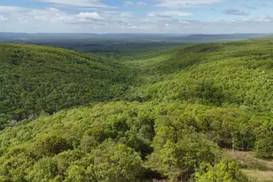 Arciel Dr, Albrightsville, PA 18210 - Photo 14