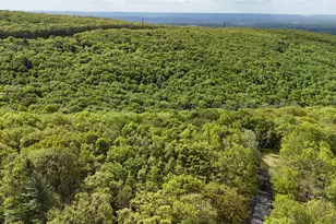 Arciel Dr, Albrightsville, PA 18210 - Photo 10