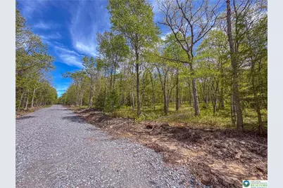  Lot 567 Cross Run Road, Jim Thorpe, PA 18229 - Photo 1