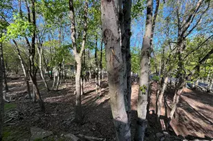 71 Blairwood Ln, Albrightsville, PA 18210 - Photo 28