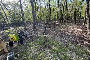 71 Blairwood Ln, Albrightsville, PA 18210 - Photo 26