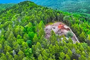 Co Line Forest Dr, Kunkletown, PA 18058 - Photo 1