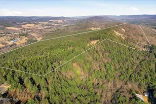 229 Forest Dr, Kunkletown, PA 18058 - Photo 12