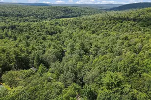 169 Sportsmen Dr, Cresco, PA 18326 - Photo 58