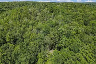 169 Sportsmen Dr, Cresco, PA 18326 - Photo 54