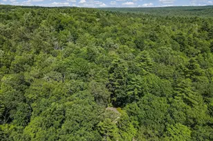 169 Sportsmen Dr, Cresco, PA 18326 - Photo 56