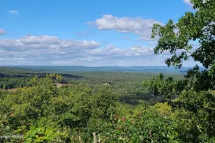 248 High Pass Way, Tannersville, PA 18372 - Photo 32