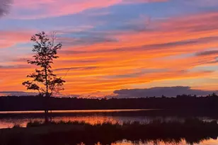 3124 Fern Rd, Pocono Summit, PA 18346 - Photo 30