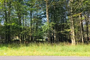 Lot H22 Elizabeth Ln, Tobyhanna, PA 18466 - Photo 1