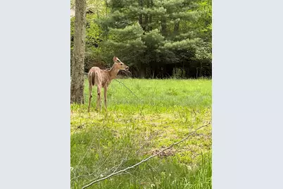  115 Alpine Court, Pocono Pines, PA 18350 - Photo 32