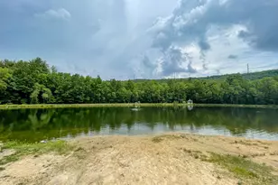 3109 Snowden Dr, Bushkill, PA 18324 - Photo 64