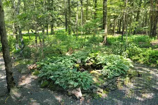 2048 Beaver Run Rd, Pocono Lake, PA 18347 - Photo 22