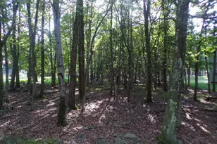 Liii712 Juniper Ln, Albrightsville, PA 18210 - Photo 2