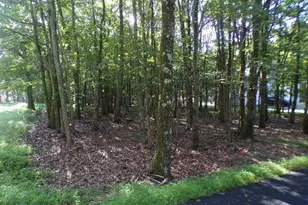 Liii712 Juniper Ln, Albrightsville, PA 18210 - Photo 1