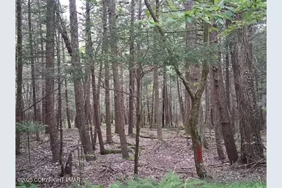  18 Robyn Lane, Pocono Lake, PA 18347 - Photo 1