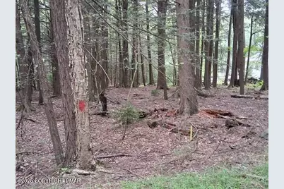  18 Robyn Lane, Pocono Lake, PA 18347 - Photo 4