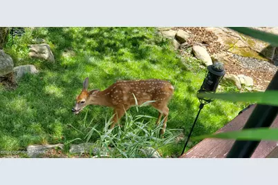  403 Rolling Hills Dr 403, Tobyhanna, PA 18466 - Photo 10