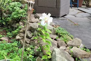 312 N Robinson Ave, Pen Argyl, PA 18072 - Photo 44