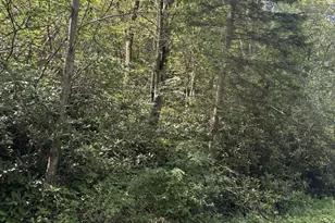 Long View Ln 36 Ln, Pocono Pines, PA 18350 - Photo 1