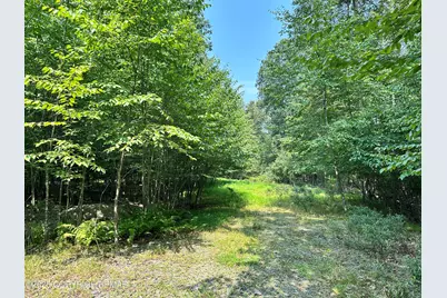  Timber Hill Rd 3C, Henryville, PA 18332 - Photo 4