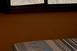 217 Cross Country Ln, Tannersville, PA 18372 - Photo 32