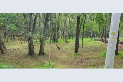  718 Chippewa Trail, Albrightsville, PA 18210 - Photo 8