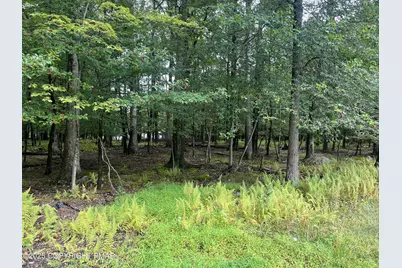  Lot 31 & 3 Lenape Drive, East Stroudsburg, PA 18302 - Photo 2