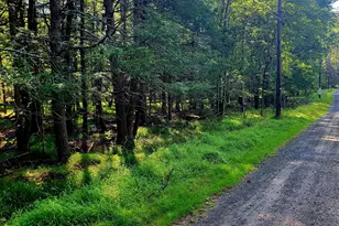 33 Netcong Cir, Pocono Lake, PA 18347 - Photo 1