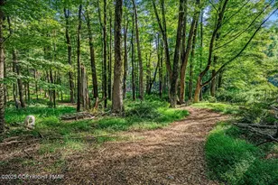 262 Lower Swiftwater Rd, Cresco, PA 18326 - Photo 8