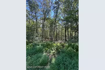  Lot 20Alas Piney Woods Drive, Jim Thorpe, PA 18229 - Photo 2