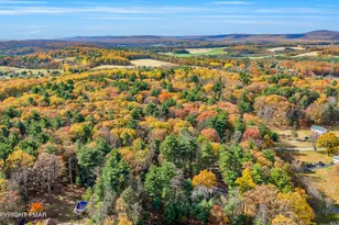 587 Long Mountain Rd, Effort, PA 18330 - Photo 28