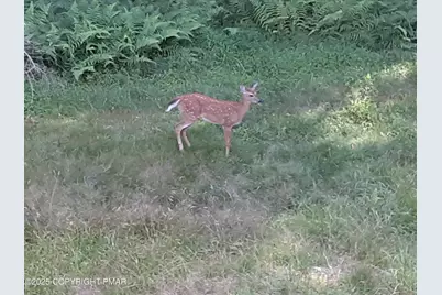  1708 Horizon Drive, Greentown, PA 18426 - Photo 30