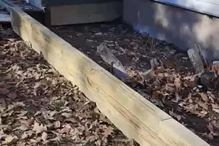 40 Prescott Rd, White Haven, PA 18661 - Photo 34